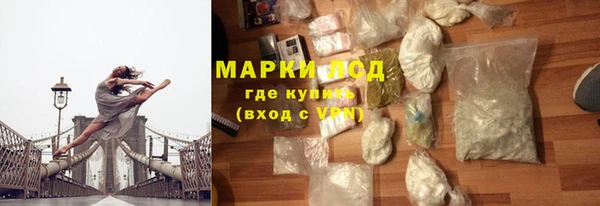 гашик Костерёво