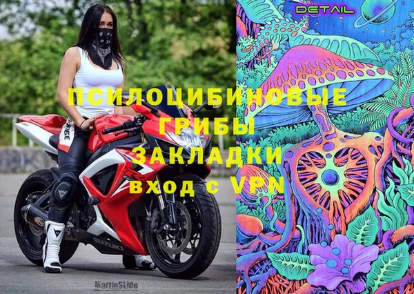 прущая мука Абаза
