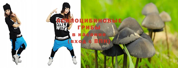 гашик Абдулино