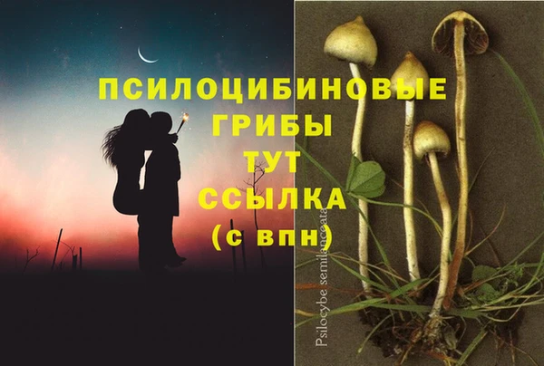 гашик Абдулино