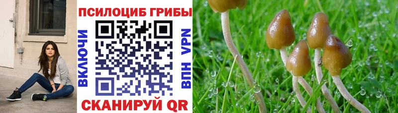 где продают наркотики  Нижние Серги  Галлюциногенные грибы Cubensis 